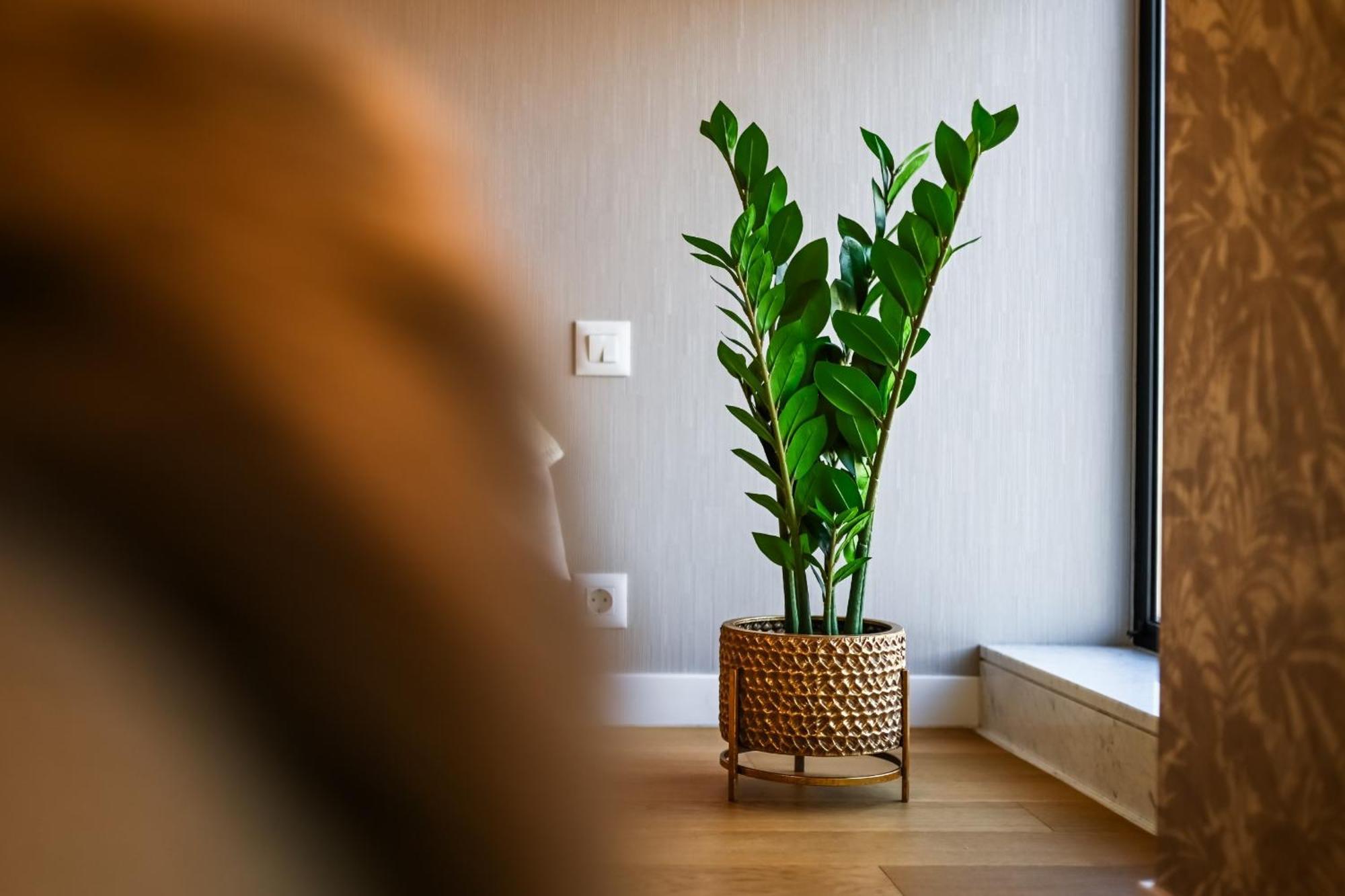 One Verdi Park Exclusive Apartments - Panoramic View & Private Parking Bukarest Værelse billede